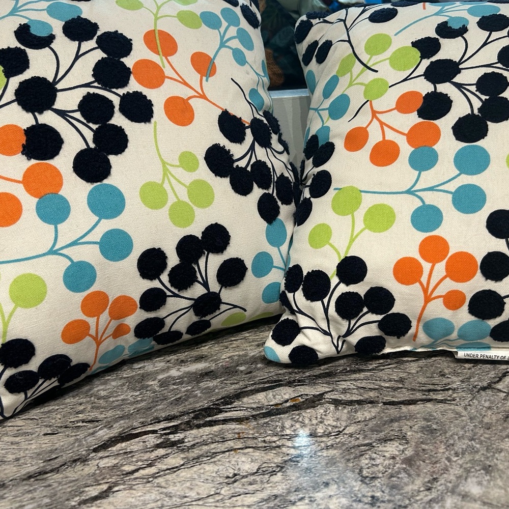 Vibrant Multicolor Throw Pillows